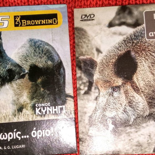 Traditional Wild Boar Hunting DVD used, set of 2 discs