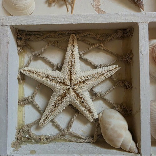 Decorative small frame with seashells like new