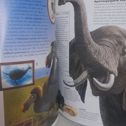 Children's Encyclopedia The World of Animals used, Greek