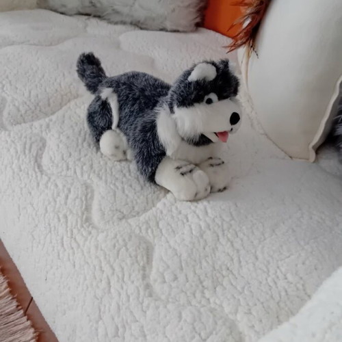Plush dog teddy bear like new, about 25 centimeters