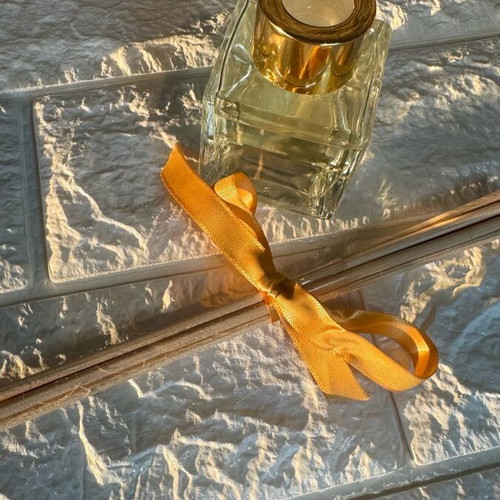 Citrus & Spices room diffuser new with 5 fiber sticks
