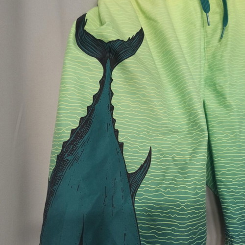 Firefly men's swim shorts size S like new, green