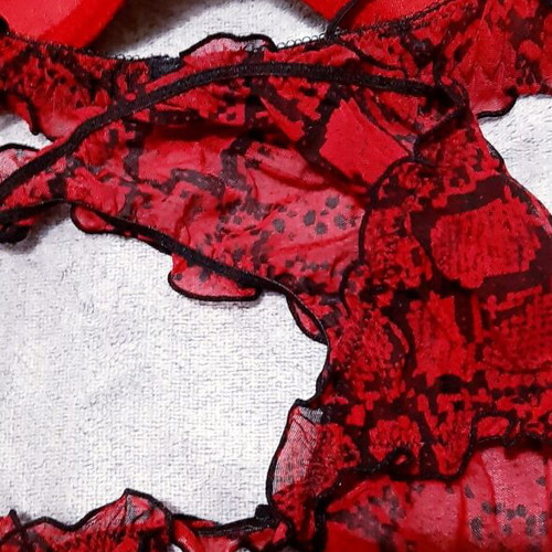 Zara sexy lingerie set 80B bra and M panties, new, animal prints red black