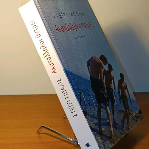 Inappropriate Men novel used