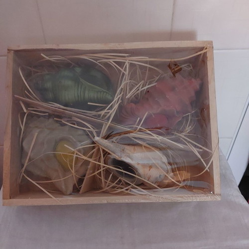 Wooden box with 4 terracotta sea shell candles, new