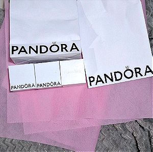 Σετ 3 κουτάκια Pandora + 2 τσάντες ΤΕΛΙΚΉ ΤΙΜΉ