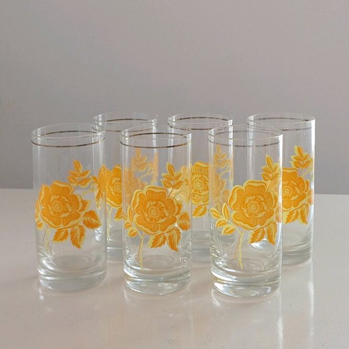 Retro rakia set pack of 6 glass floral motif glasses like new
