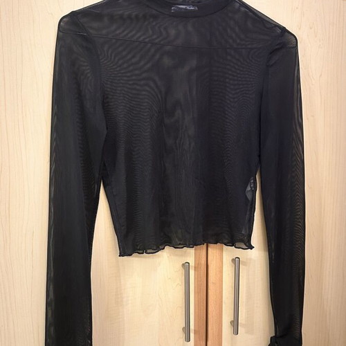 Sheer blouse with feathers on sleeves new