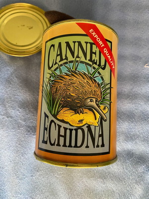 Plush toy echidna souvenir from Australia, new