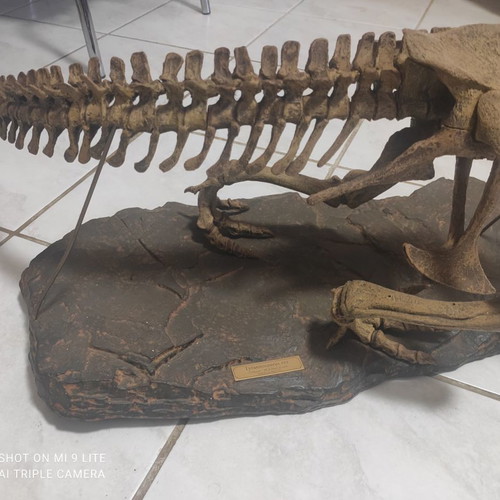 Tyrannosaurus Rex used decorative model, scale 1:10