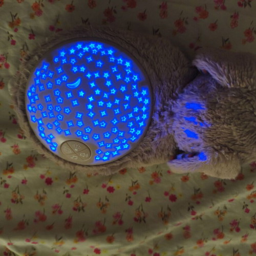 Children's Night Projector used with plush bunny and musical teddy bear gift