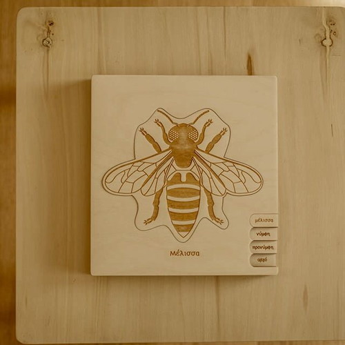 Wooden 2D puzzle Bee life cycle Montessori like new