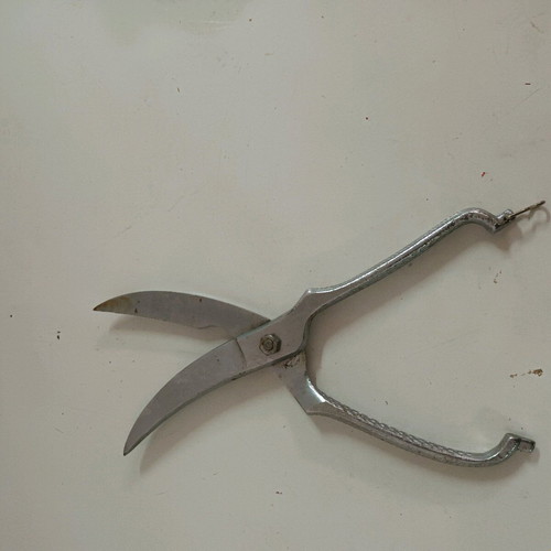 Metal kitchen scissors used, height 26 cm