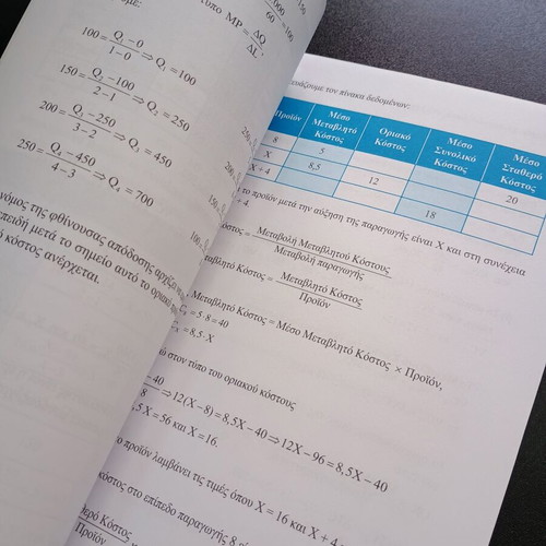 Principles of Economic Theory Exercise Solutions Book like new