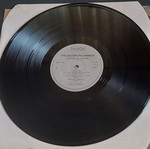 The Golden Palominos Visions Of Excess LP μεταχειρισμένο, rock