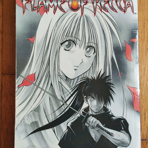 Manga Flame of Recca Volume 24 used