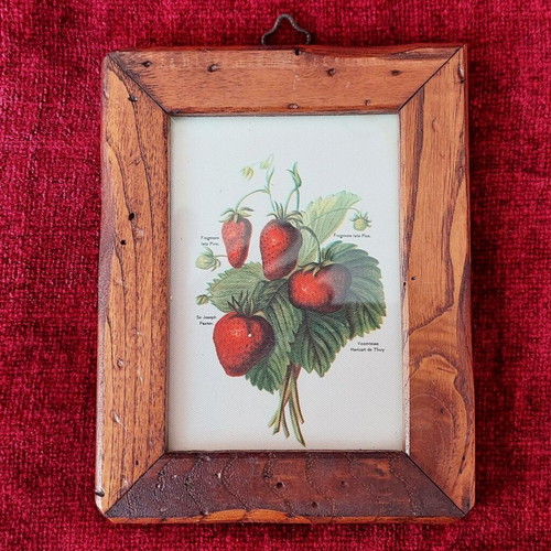 Wooden framed mini prints collection of 3, like new