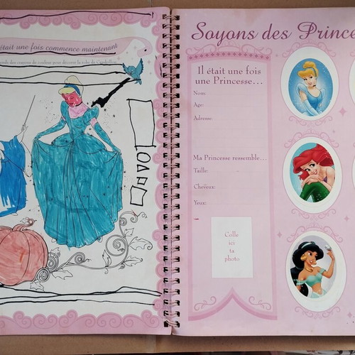 Panini Disney Princess Sticker Album used French edition