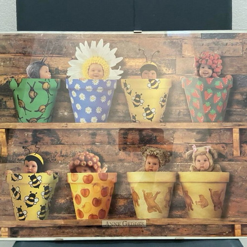 Anne Geddes Flower Pot Babes framed print like new