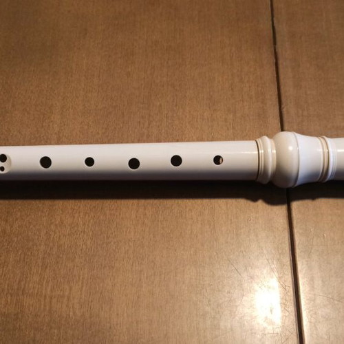 Yamaha recorder used in moderate condition