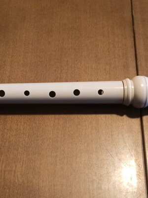 Yamaha recorder used in moderate condition
