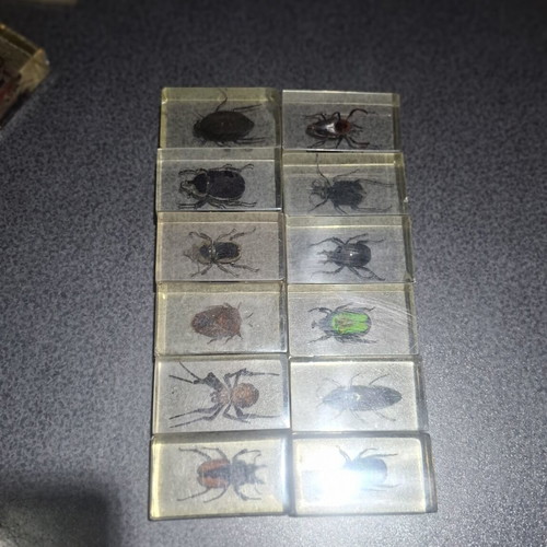 Insect and Arthropod Collection like new, 27 pieces in resin