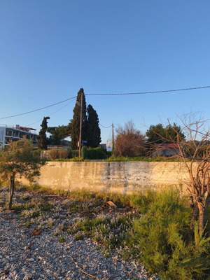 Δικαίωμα υψούν δευτέρου ορόφου 100τμ σε παραθαλάσσια οίκια στον Ωρωπό