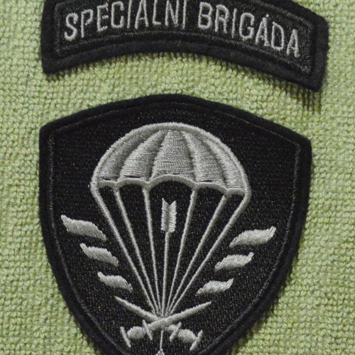 Special Forces Patch from Czechia new