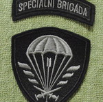 Special Forces Patch from Czechia new