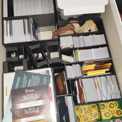 Aeon Trespass Odyssey 3D printed insert made to order, black