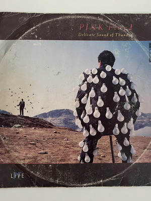 Pink Floyd Delicate Sound of Thunder διπλό LP μεταχειρισμένο