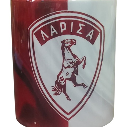 Larisa Mug new