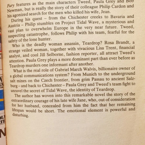 Fury Colin Forbes book used, English thriller