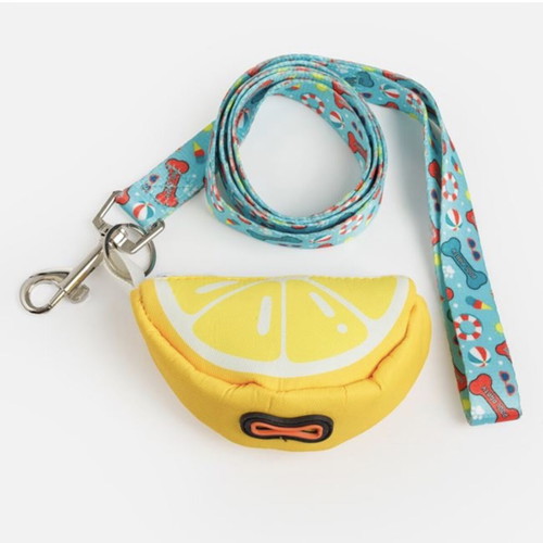 Turquoise Summer Dog Leash with Bag Holder