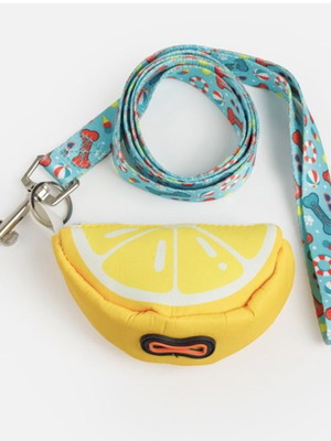 Turquoise Summer Dog Leash with Bag Holder