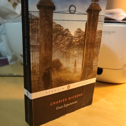 Great Expectations book used, English