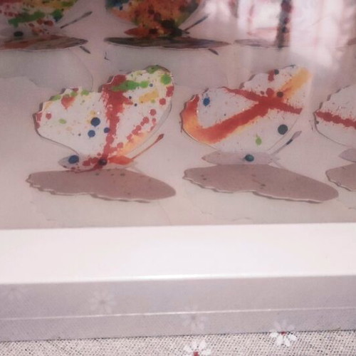 Olunda decorative frame with butterflies new