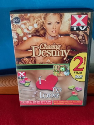 Destiny DVD like new, romantic movie with subtitles