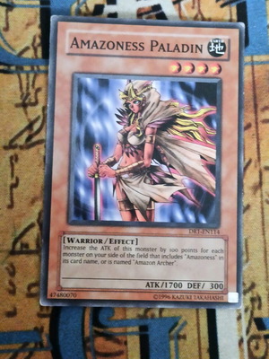 Amazoness Paladin Effect Monster σαν καινούργιο