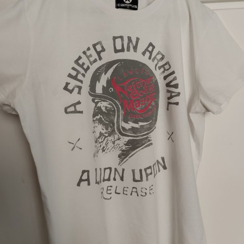 Campus men's T-shirt size Large like new with print