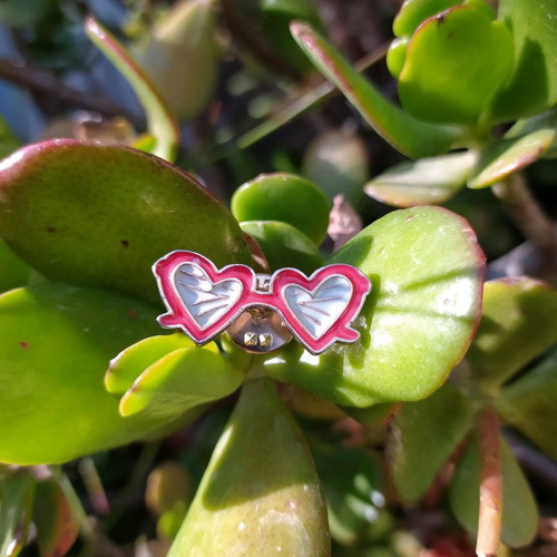 Pin brooch