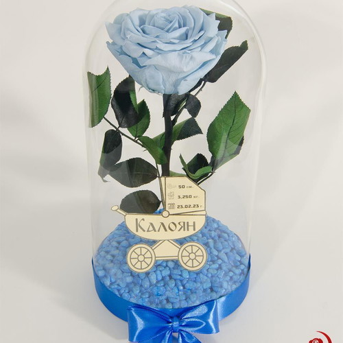 Light Blue Eternal Rose in Glass Dome made to order
