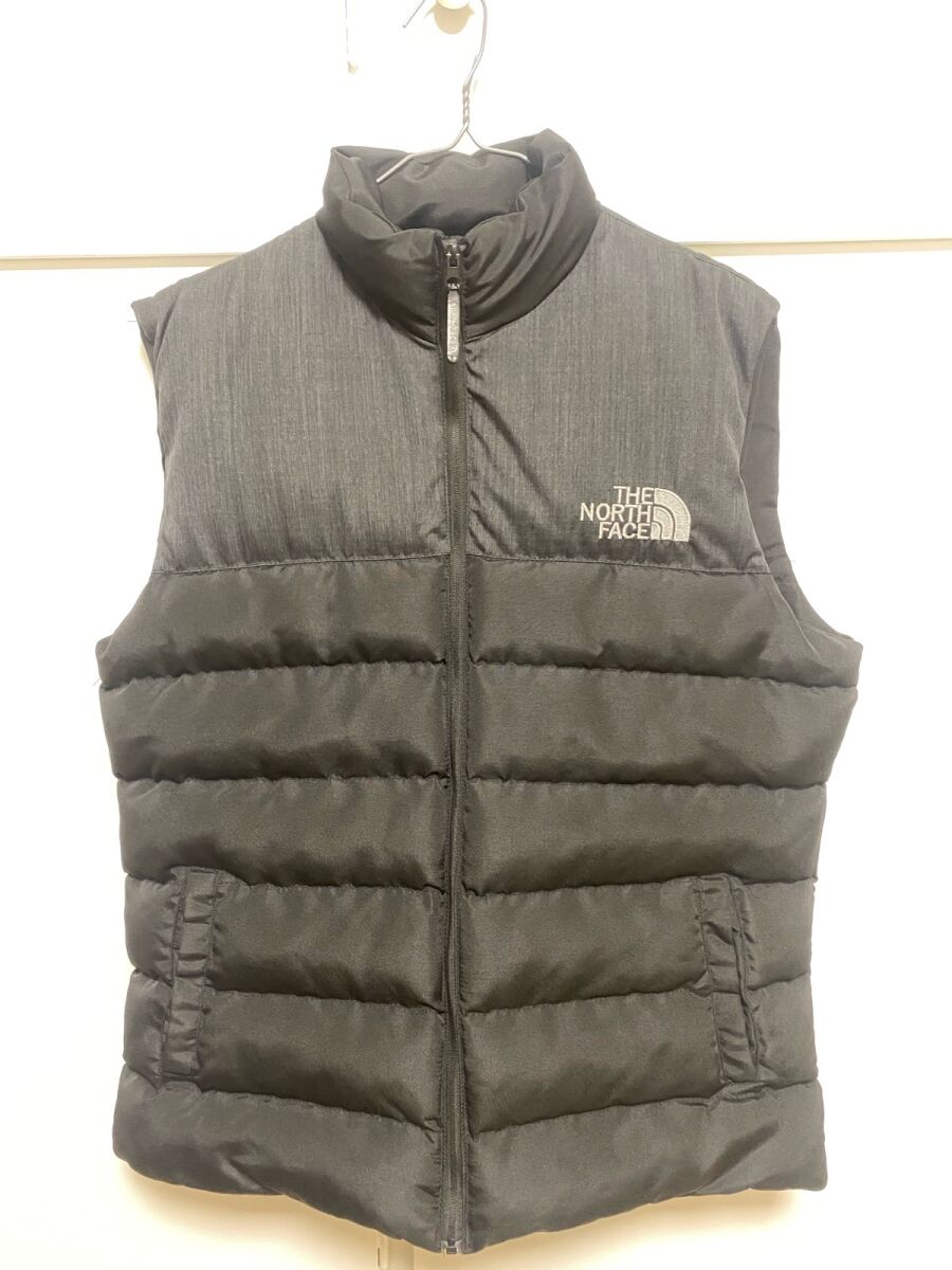 the north face the north face