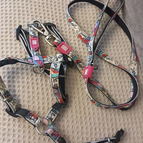 Max&Molly dog harness and leash size M like new