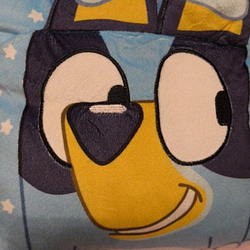 Bluey pillow like new