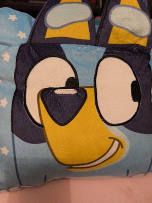 Bluey pillow like new