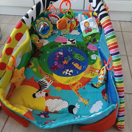 Lionelo Anika Baby Gym and Activity Mat like new with Accessories