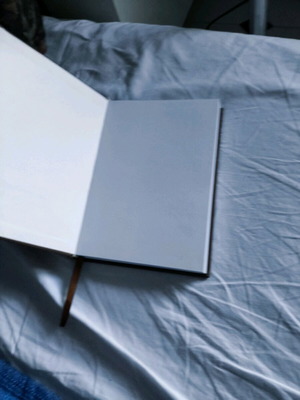 2024 Diary blank, like new