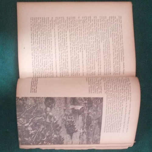 Von Serbien bis Kreta German Nazi propaganda book 1942