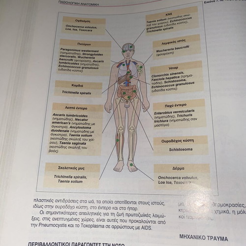 Pathological Anatomy book by Stevens, Lowe, Davaris